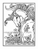 Unicorn Mystical Unicorns Template sketch template