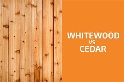 whitewood  cedar     handymans world