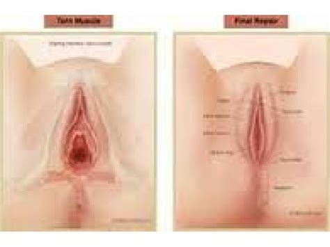 dry vagina porn anal mom pics