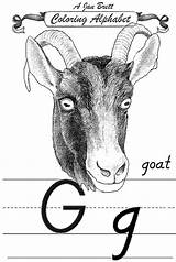 Janbrett Goat Alphabet Coloring Modern Click Subscription Downloads sketch template