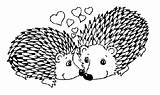 Coloring Hedgehogs Loving Romantic Each Other Hedgehog Cute Pages Angels Little sketch template