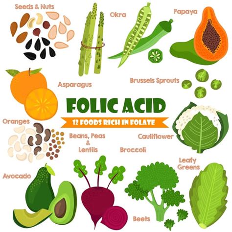 Could Lack Of Folic Acid Be Behind Your Ed Online Prescription