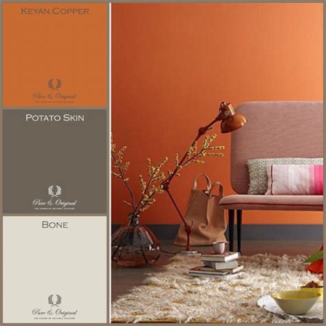 warme oranje kleur mooi te combineren met warme grijs tinten interior farger veggfarger