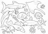 Fish Coloring Pages Drawing Colour Printable Kids Template Ocean Color Sheets Print Sea Animal Creation Drawings Printing Animals sketch template
