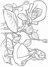 Wonderland Alice Coloring Pages Flowers Flower Amazing Printable Getdrawings Color Getcolorings sketch template