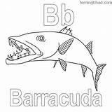 Barracuda Coloring Printable Getcolorings Pages sketch template