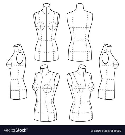 fashion mannequin template royalty  vector image