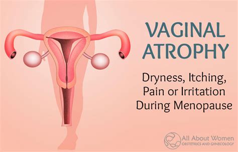 Vaginal Atrophy Vaginal Dryness Itching Pain Or