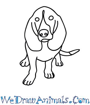draw  hound dog