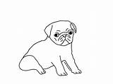 Pug Coloring Pages Printable Puppy Dog Cute Baby Drawing Outline Kids Pugs Adult Book Draw Drawings Line Animals Color Print sketch template