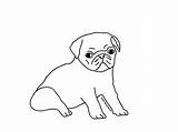 Pug Coloring Pages Printable Dog Puppy Cute Baby Drawing Outline Kids Pugs Adult Book Drawings Draw Line Animals Color Print sketch template