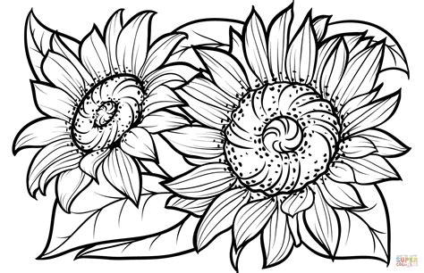 sunflower printable coloring pages