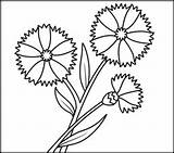 Cornflower Coloring Designlooter 226px 85kb Drawings Related Pages sketch template