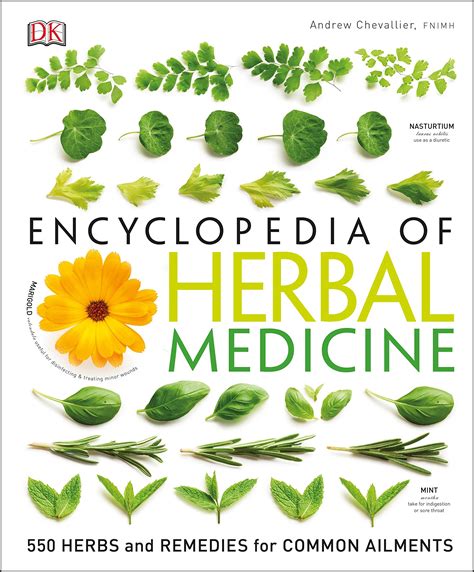 encyclopedia  herbal medicine  herbs  remedies  common ailments herbal plant power