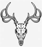 Skull Deer Drawing Illustration Vector Pngkey sketch template