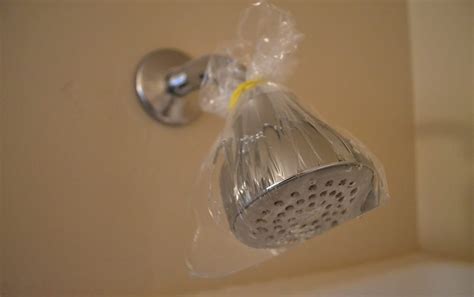 clean  shower head  easy ways