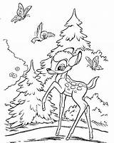 Bambi Coloring4free Floresta Coloringtop Colorare Tudodesenhos Tamburino Imprime sketch template