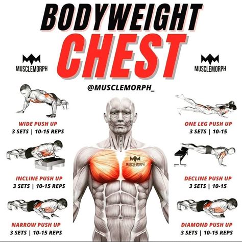 ⭐ Fitness I Nutrition I Diet ⭐ On Instagram “bodyweight Chest Workout