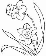Spring Drawing Flowers Clipart Line Simple Coloring Pages Adults Library sketch template