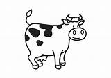 Coloring Cow Printable Pages sketch template