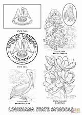 Louisiana Symbols Coloring Pages State Tree Clipart Printable Color Bird Flower Flag Choose Board Getcolorings Designlooter Clipground Popular Coloringhome Template sketch template