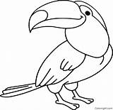 Toucan Bird Coloringall sketch template