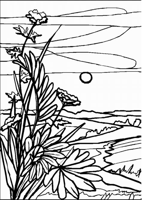 landscape coloring pages  adults google search coloring pages