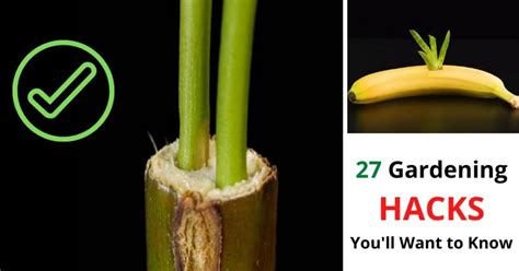 27 gardening hacks you ll want to know
