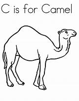 Camel Coloring Pages Kids Preschool Colouring Kindergarten Print Line Printable Drawing Animals Craft Camels Students Color Preschoolcrafts Cute Getdrawings Getcolorings sketch template