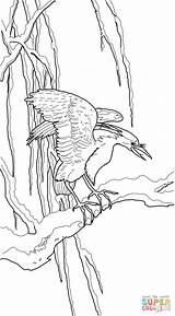 Ohara Koson Heron Coloring Night Pages Printable sketch template