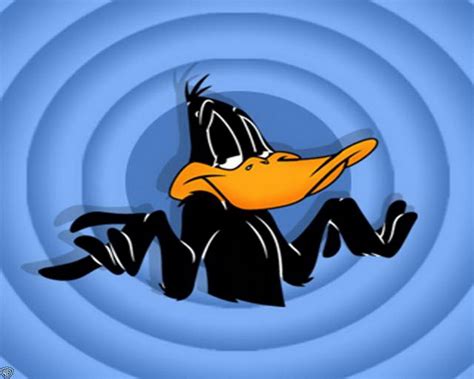 looney tunes daffy duck wallpapers hd wallpapers