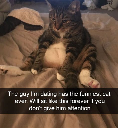 10 hilarious cat snapchats that are im paw sible not to laugh at