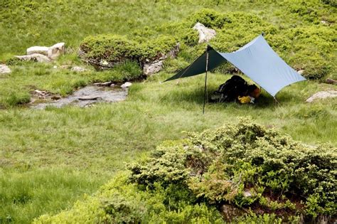 camp   tarp    tent  summer