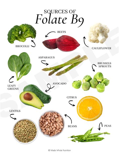 sources  folate  functional health research resources