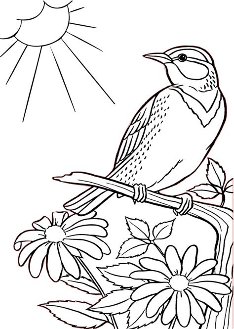bird coloring pages  delantalesybanderines