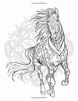 Mandalas Pferde Paard Caballos Caballo Kleurplaten Pferd Paarden Ausmalen Erwachsene Volwassenen Dieren Malen Kleurboeken Zentangle Geschilderde Schetsen Kleurrijke Tekeningen sketch template