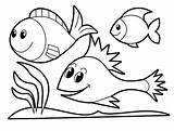 Coloring Pages Easy Rocks Fishes sketch template