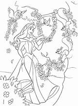 Coloring Pages Aurora Disney ระบาย ภาพ sketch template