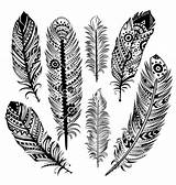 Feather Vector Coloring Pages Tribal Graphics Feathers Newdesign Indian Via sketch template