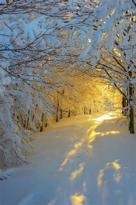 snow sunrise italy in 2019 winter scenery snowy woods winter beauty