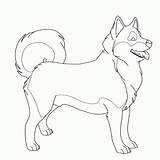 Coloring Husky Puppy Becuo Drawing Color sketch template