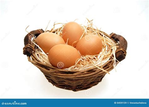eggs  basket royalty  stock images image