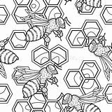 Bees Honeycomb Antistress sketch template