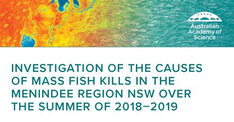 investigation     mass fish kills   menindee region nsw   summer