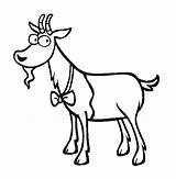 Goat Coloring Pages Tie Farming Bow Wearing sketch template
