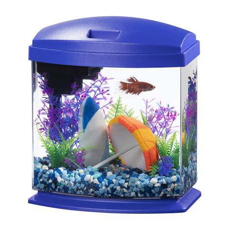fish tanks  kids  child friendly aquariums