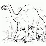 Animals Dinosaur Plateosaurus sketch template
