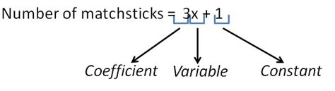 variable definition  exampls teachoo variable