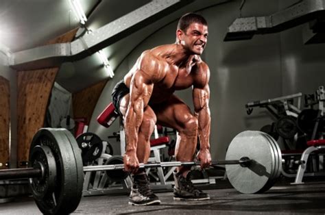 Pros And Cons Of Strength Building Or Powerlifting Lean Hybrid Muscle