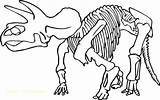 Coloring Skeleton Dinosaur Pages Bones Head Triceratops Pirate Fossil Drawing Printable Bone Rex Print Skull Bryant Kobe Animal Kids Human sketch template